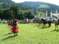 Pferdeshow mit Line Dance
