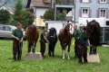 Freiheitsdressur
