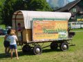 Festival-Info
