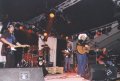 Roger & The Wild Horses