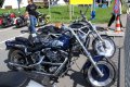 Harley Treff
