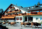 Hotel Sonne