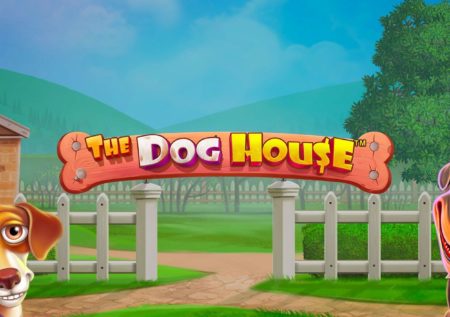 The dog house